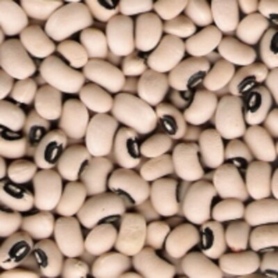 resources of Wholesale Black Eye White Beans exporters