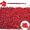 Fresh Iqf Whole Red Berry Fruits Frozen Berries Exporters, Wholesaler & Manufacturer | Globaltradeplaza.com