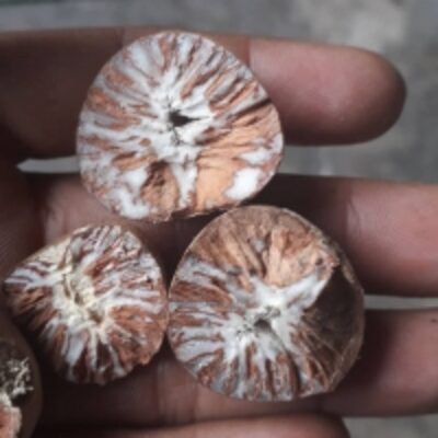 resources of Whole Dried Betel Nut Split And Whole Betel Nuts exporters
