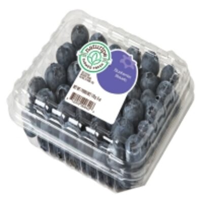 resources of Fresh Tasty &amp; Healthy - Blueberries Conventional exporters