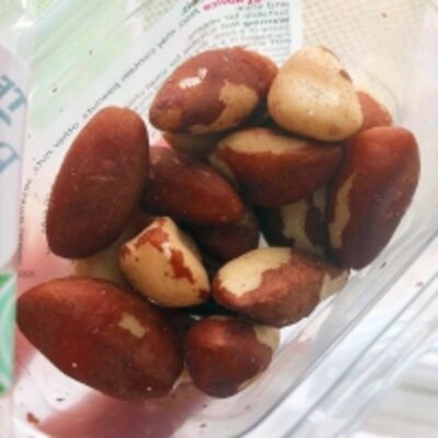 resources of Quality Raw Brazil Nuts exporters