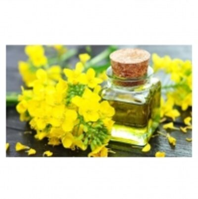 resources of Fresh Stock Canola Oil exporters