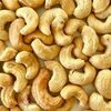 Cashew Nut Kernels W240 W320 Exporters, Wholesaler & Manufacturer | Globaltradeplaza.com