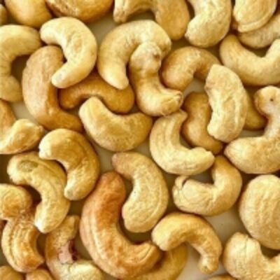 resources of Cashew Nut Kernels W240 W320 exporters