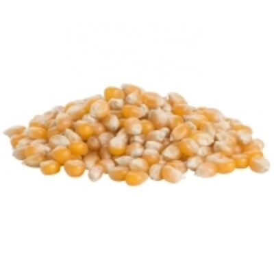 resources of Butterfly Popcorn exporters