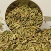 Cumin Seeds Exporters, Wholesaler & Manufacturer | Globaltradeplaza.com