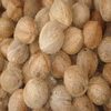Natural Fresh Coconut Exporters, Wholesaler & Manufacturer | Globaltradeplaza.com