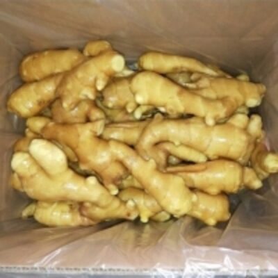 resources of Quality Fresh Ginger exporters