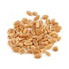 Quality Milling Wheat Grains Exporters, Wholesaler & Manufacturer | Globaltradeplaza.com