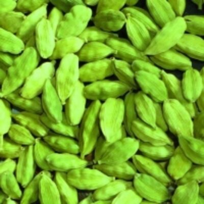 resources of Quality Fresh Green Cardamom Elachi Spice exporters