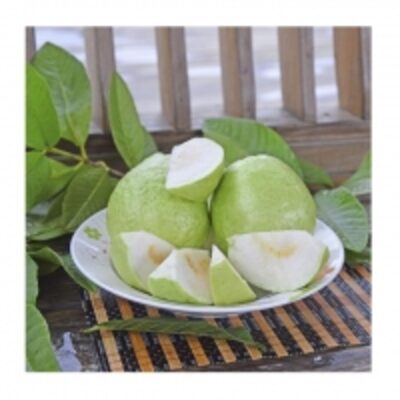 resources of Fresh Sweet Guava exporters