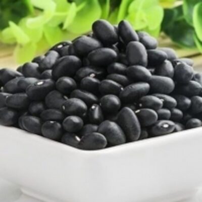 resources of Black Kidney Bean exporters