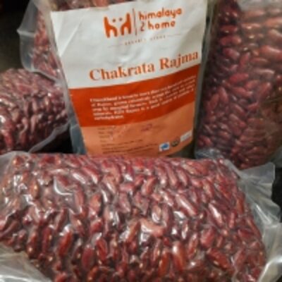 resources of White Kidney Beans/ Red Kidney Beans exporters