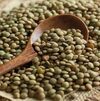 Green Lentils / Red Lentils / Lentils Exporters, Wholesaler & Manufacturer | Globaltradeplaza.com