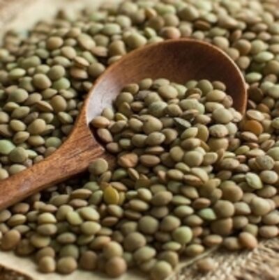 resources of Green Lentils / Red Lentils / Lentils exporters