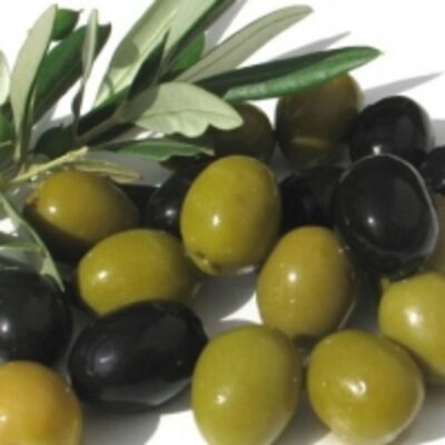 resources of Fresh Olives exporters