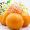 Fresh Orange Exporters, Wholesaler & Manufacturer | Globaltradeplaza.com