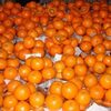 Fresh Organic Orange - Mandarin Oranges Exporters, Wholesaler & Manufacturer | Globaltradeplaza.com