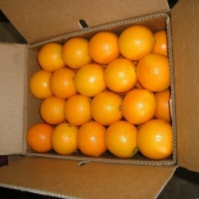 resources of Citrus Fruits, Valencia Oranges exporters