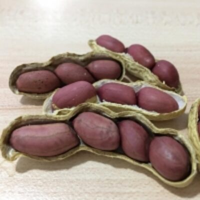 resources of Wholesale High Quality Raw Bold Peanuts exporters
