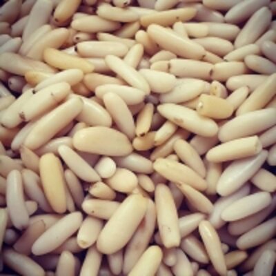 resources of Pine Nuts, Best Quality Pine Nuts, Top Pine Nuts exporters