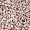 100% Organic And Natural Pistachio Nuts Exporters, Wholesaler & Manufacturer | Globaltradeplaza.com
