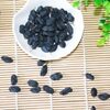 Dried Sweet Black Raisin Exporters, Wholesaler & Manufacturer | Globaltradeplaza.com