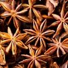 Star Aniseed / Anise Seed / Star Anise Exporters, Wholesaler & Manufacturer | Globaltradeplaza.com