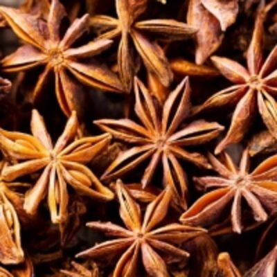 resources of Star Aniseed / Anise Seed / Star Anise exporters