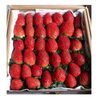 Fresh Fruit Strawberry Exporters, Wholesaler & Manufacturer | Globaltradeplaza.com