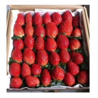 resources of Fresh Fruit Strawberry exporters