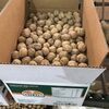 Organic Walnuts High Quality 100% Natural Exporters, Wholesaler & Manufacturer | Globaltradeplaza.com