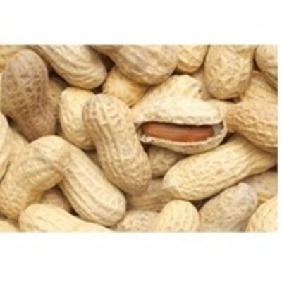 Sudanese Ground Nuts Exporters, Wholesaler & Manufacturer | Globaltradeplaza.com