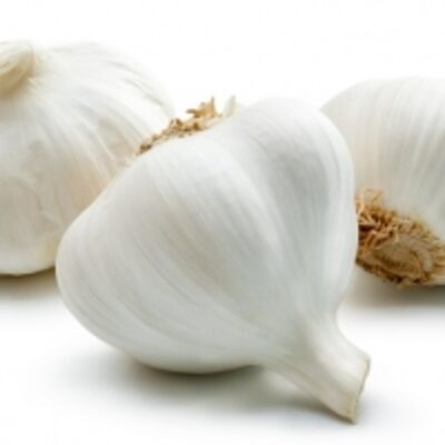 resources of Garlic ( Indian/ Egyptian/ Chinese) exporters