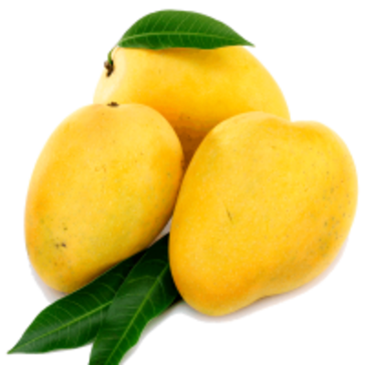 resources of Indian Mango exporters