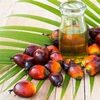 Crude Palm Oil (Cpo) / Rbd Palm Oil/ Malaysian Exporters, Wholesaler & Manufacturer | Globaltradeplaza.com