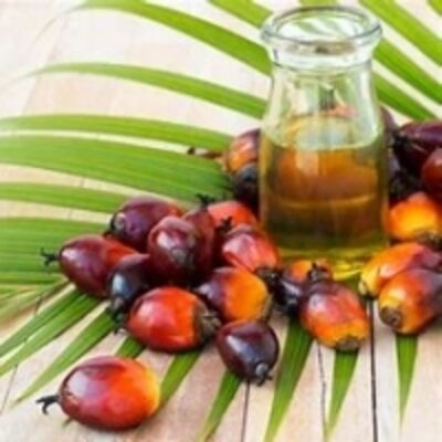 resources of Crude Palm Oil (Cpo) / Rbd Palm Oil/ Malaysian exporters