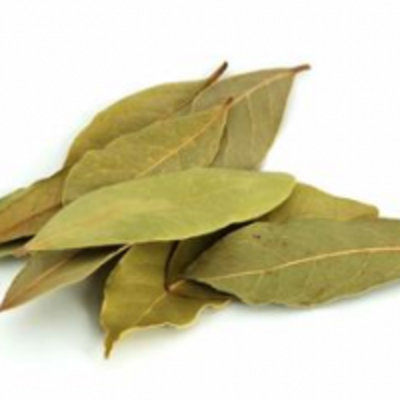 resources of Bay Leaf exporters