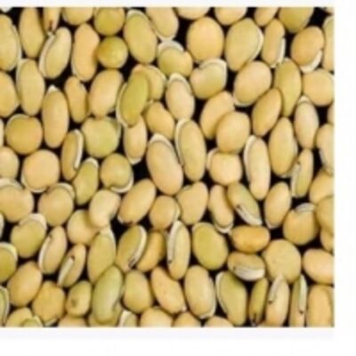 resources of Field Beans exporters
