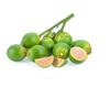 Betel Nut Exporters, Wholesaler & Manufacturer | Globaltradeplaza.com