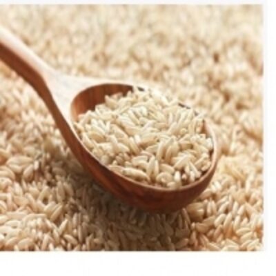 resources of Brown Rice exporters