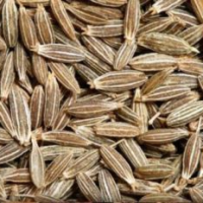 resources of Cumin Seed exporters