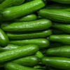 Cucumber Exporters, Wholesaler & Manufacturer | Globaltradeplaza.com