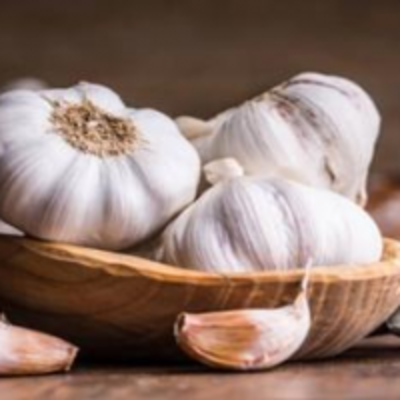 resources of Garlic exporters