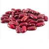 Kidney Beans Exporters, Wholesaler & Manufacturer | Globaltradeplaza.com