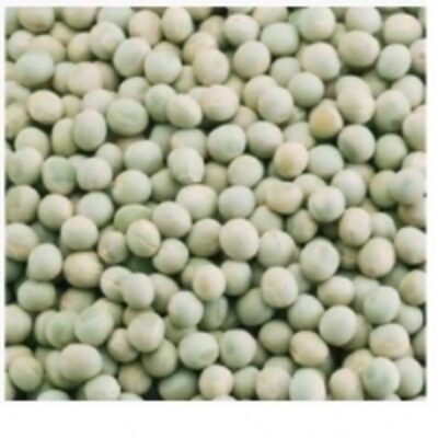 resources of Peas exporters