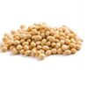Soybean Exporters, Wholesaler & Manufacturer | Globaltradeplaza.com
