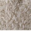 Swarna Rice Exporters, Wholesaler & Manufacturer | Globaltradeplaza.com
