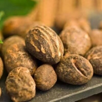resources of Shea Nuts exporters