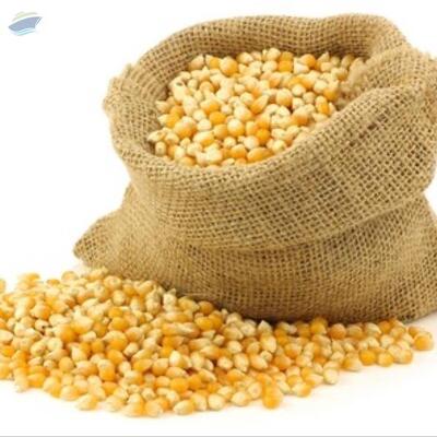 resources of Yellow Corn And Maize exporters